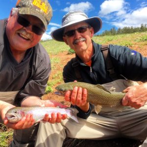 Rainbow Falls Trout