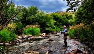 Ben in Bear Creek