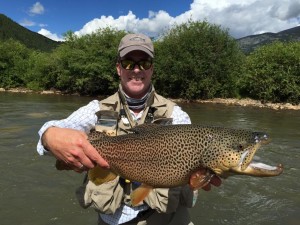 Colorado Brown Trout