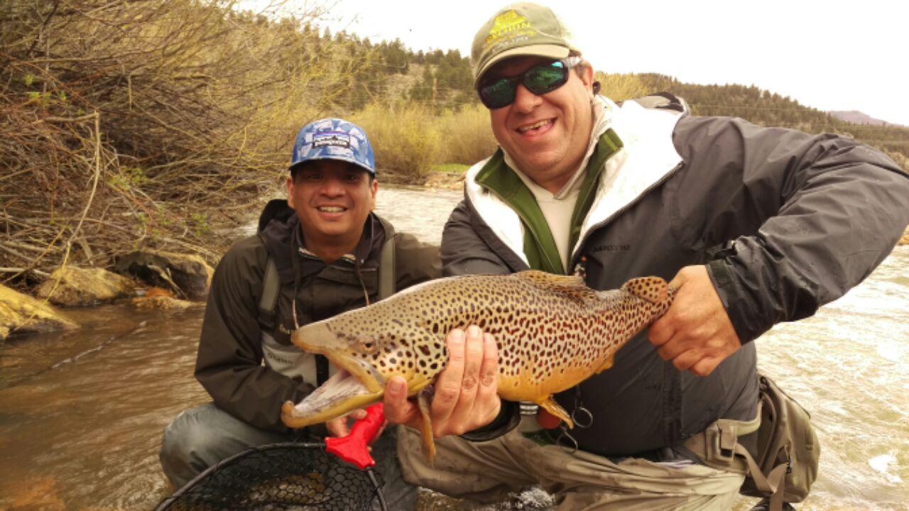 Long Meadow Ranch Brown Trout