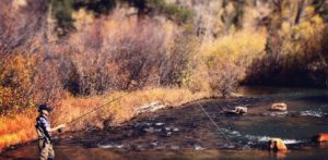 How to Prepare for a Guided Fly Fishing Trip in Colorado