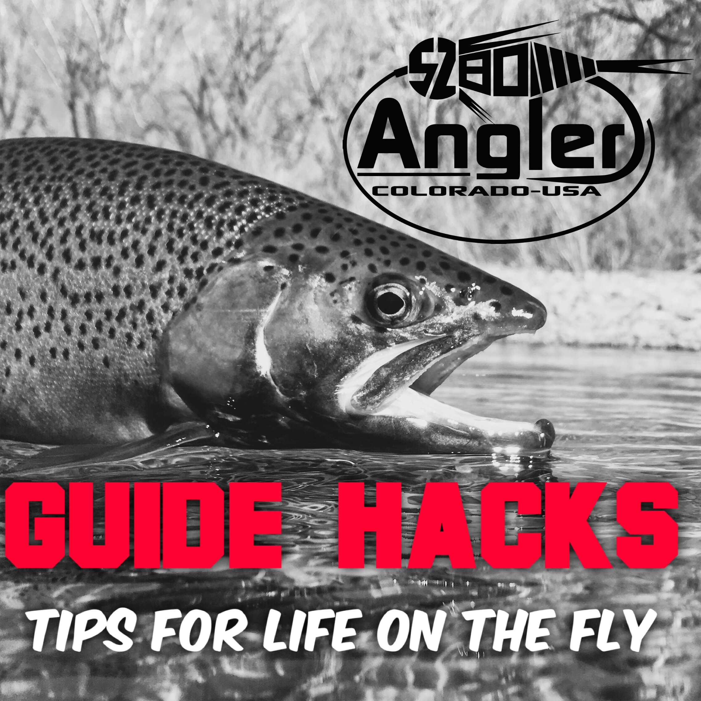 5280 Angler Guide Hacks: Summertime Strategies for Fine Fly Fishing!