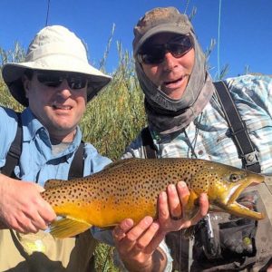 fall-brown-trout-dream-stream