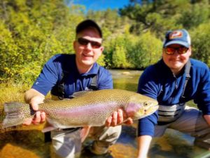 boxwood-gulch-trout-1