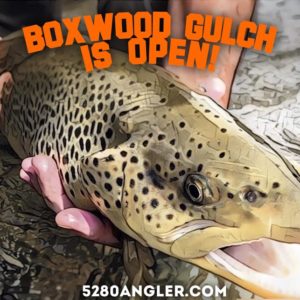 boxwood-gulch-trout-header