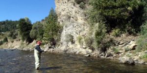 fly fishing denver