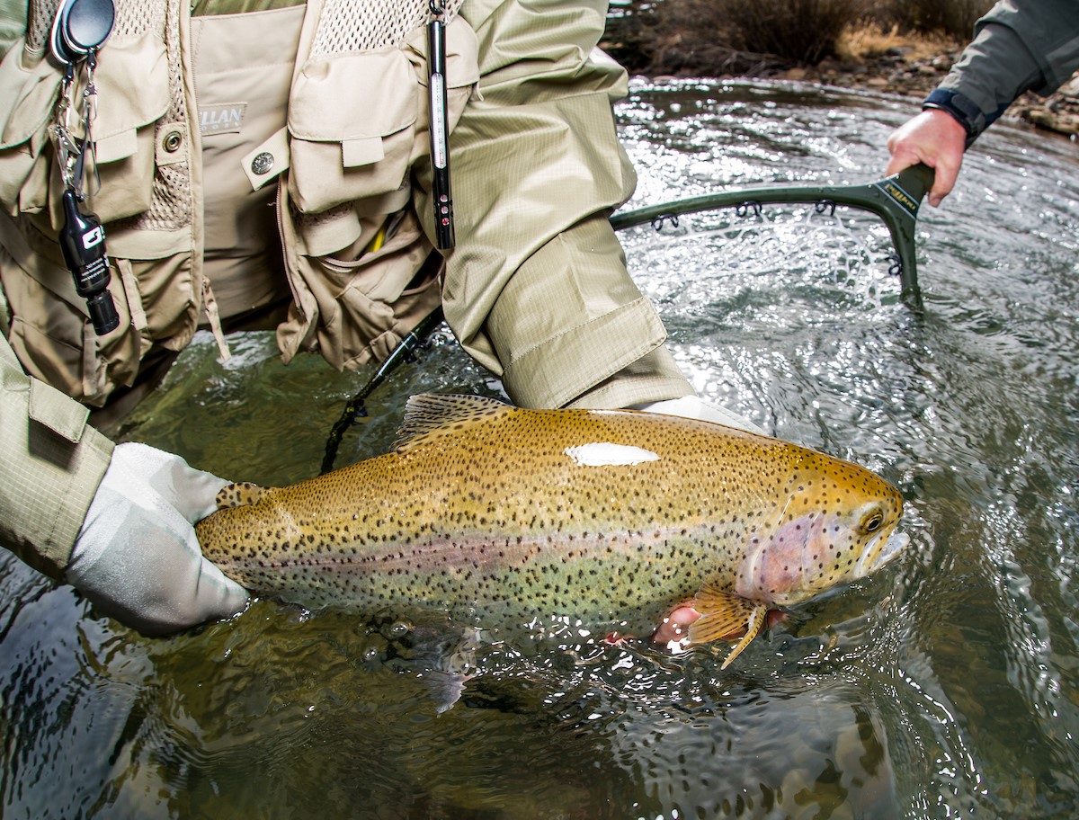 Ranches for Your Fly-Fishing Adventure