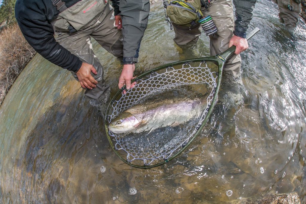 Fishpond boat nets  Washington Fly Fishing Forum