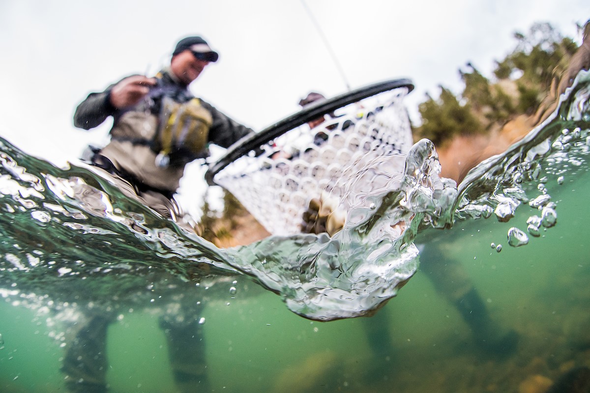 Small brook trout landing net