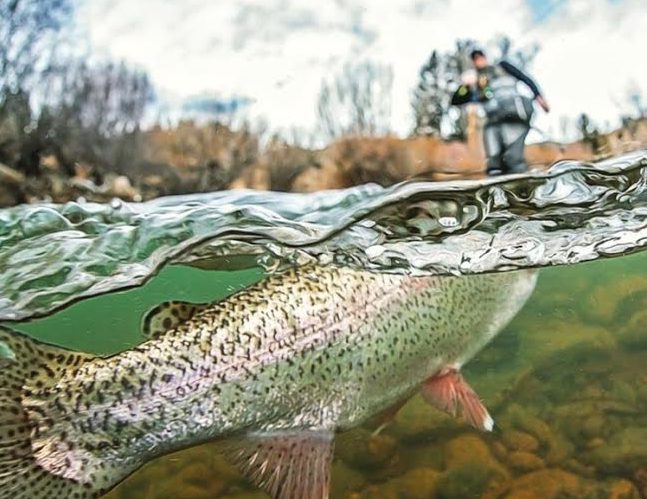 Colorado Fly Fishing Guides - 5280 Angler - Fly Fish Colorado - Trout