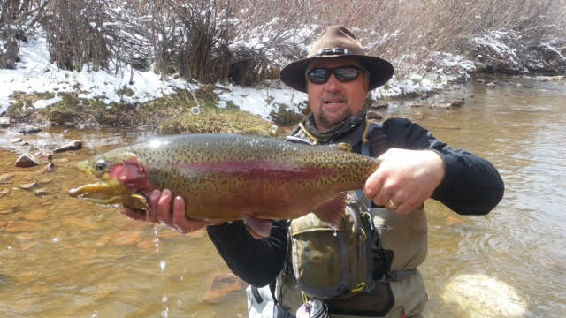 How to fish a Strike Indicator  Fly fishing tips, Trout fishing