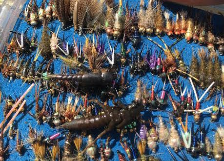 entomology for the fly fisherman