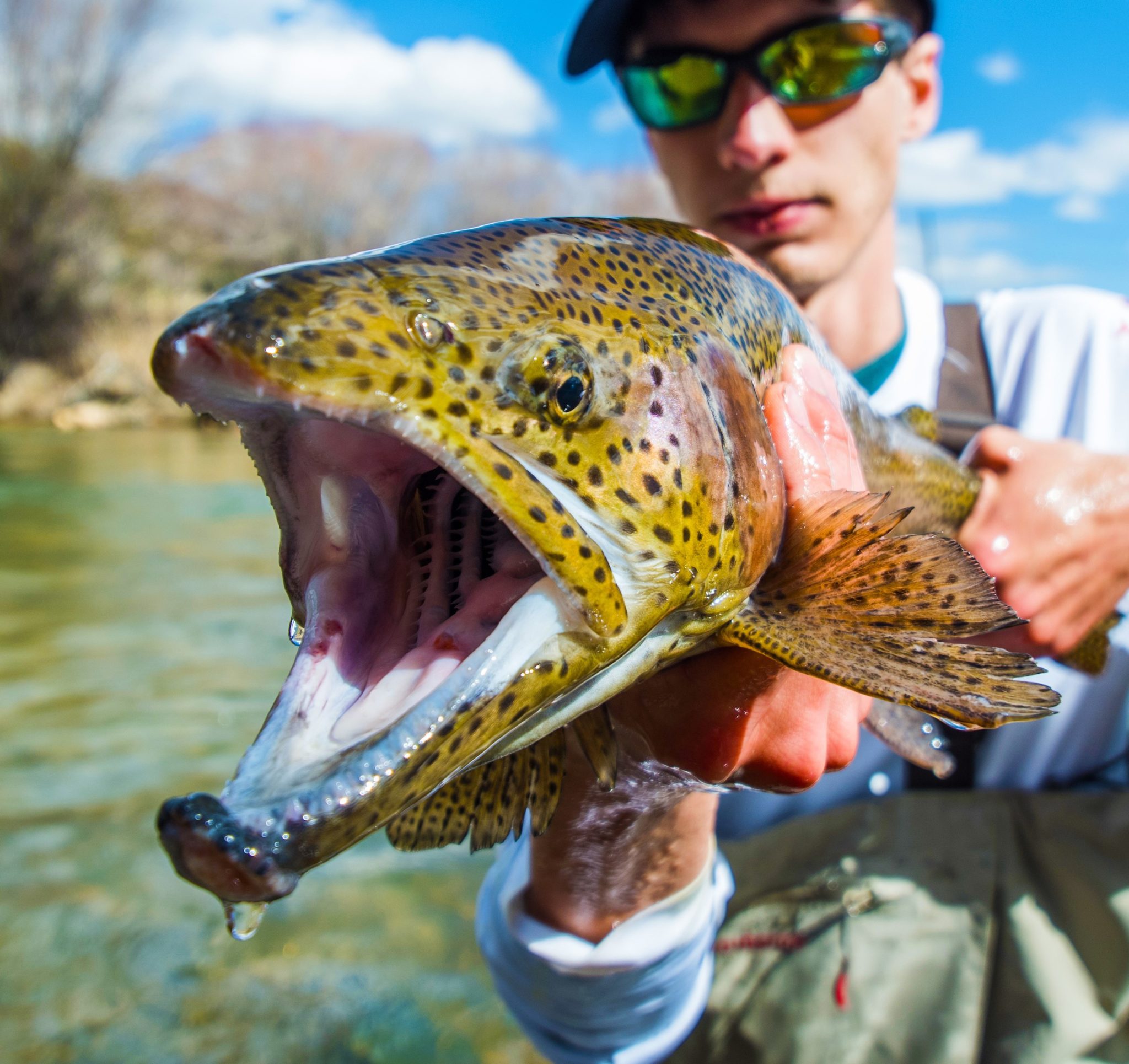 Long Meadow Ranch Fly Fishing with 5280 Angler