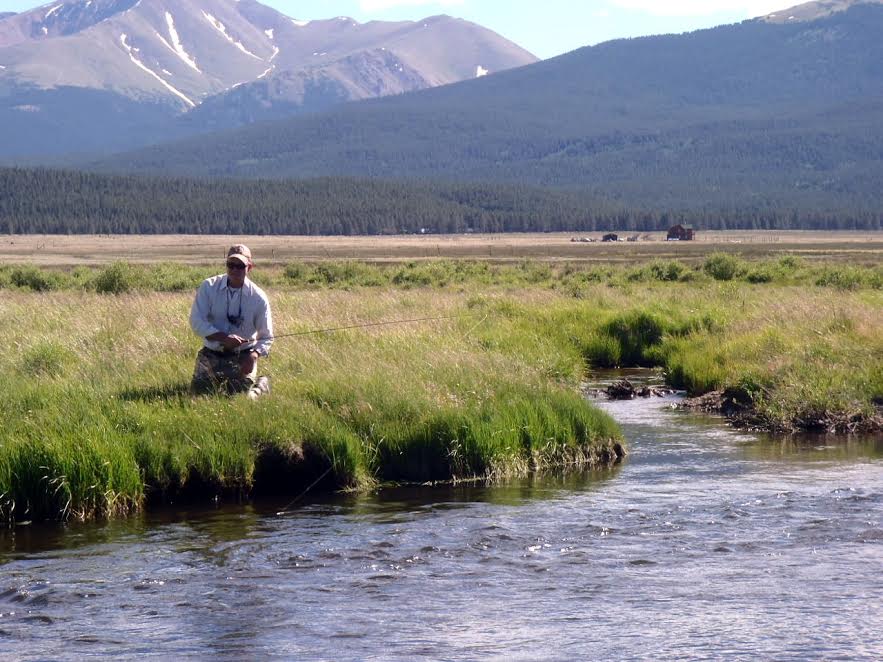 fish tagging  Mountains to Marsh