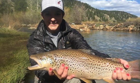 Boxwood Gulch Brown Trout, The Coutre Fly, Fly Gal Friday, Fly Gal Blog