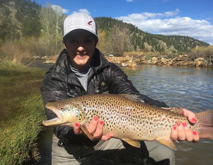 Boxwood Gulch Brown Trout, The Coutre Fly, Fly Gal Friday, Fly Gal Blog