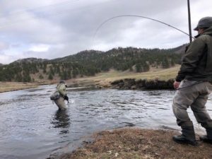 Abel Ranch Fly Fishing