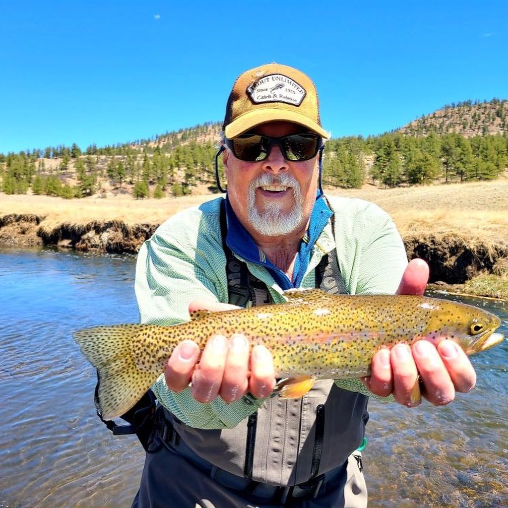 How to Match a Hatch and Catch Fish in Colorado this Spring 2021
